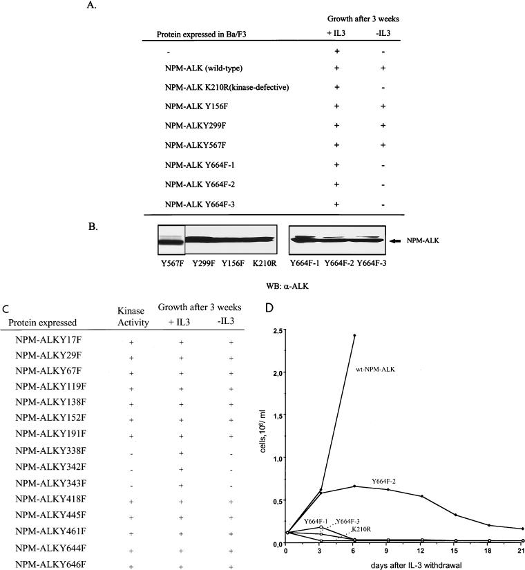 FIG. 9