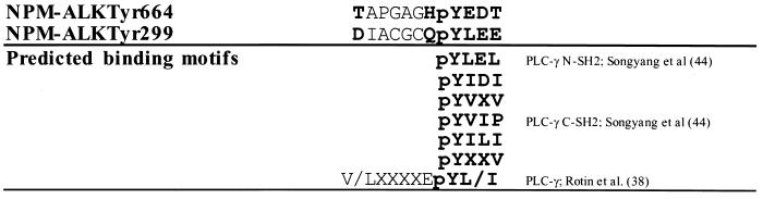 FIG. 11