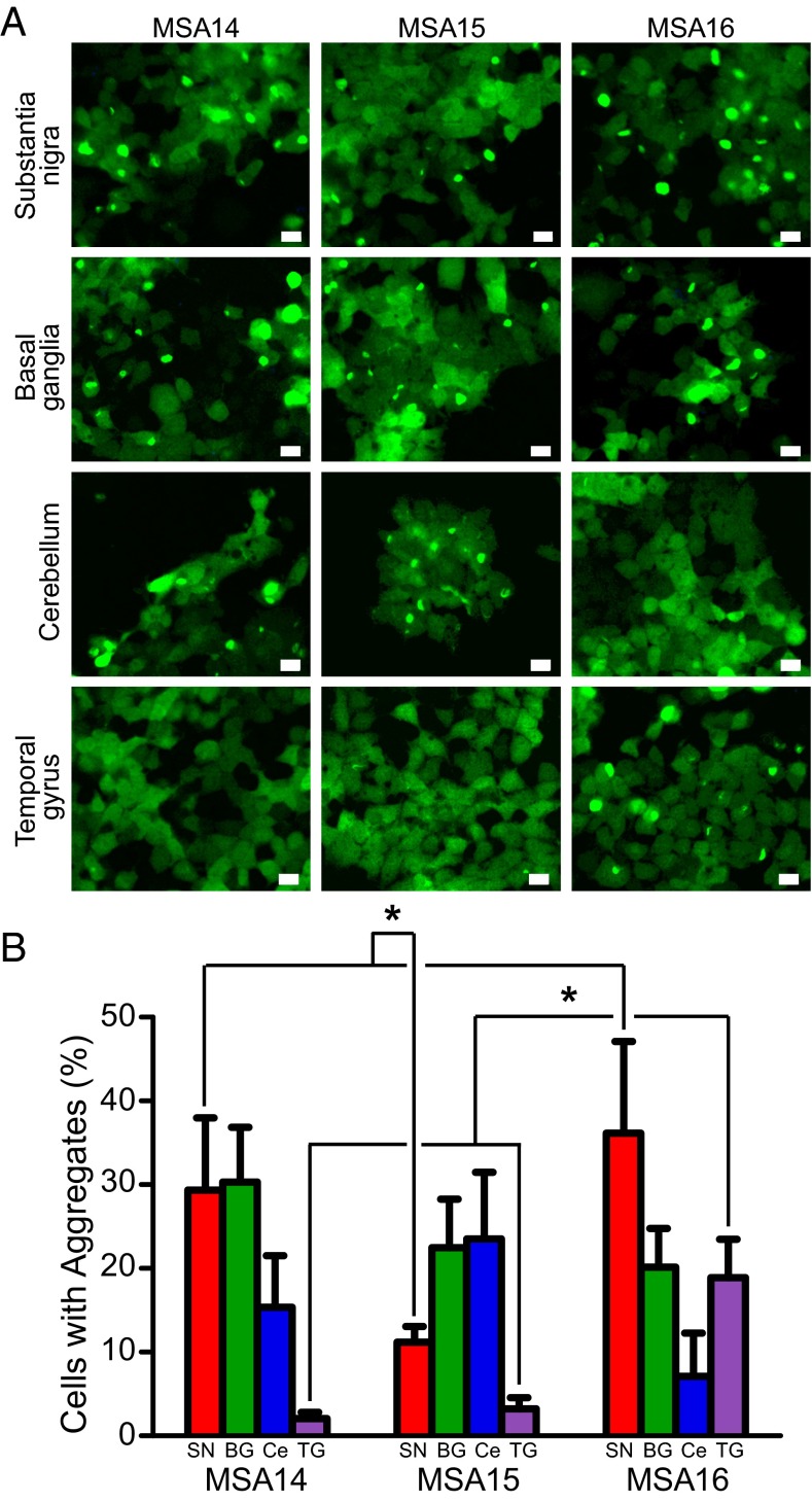 Fig. 4.