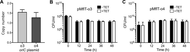 FIG 4