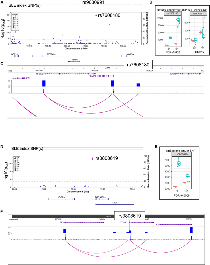 Figure 4