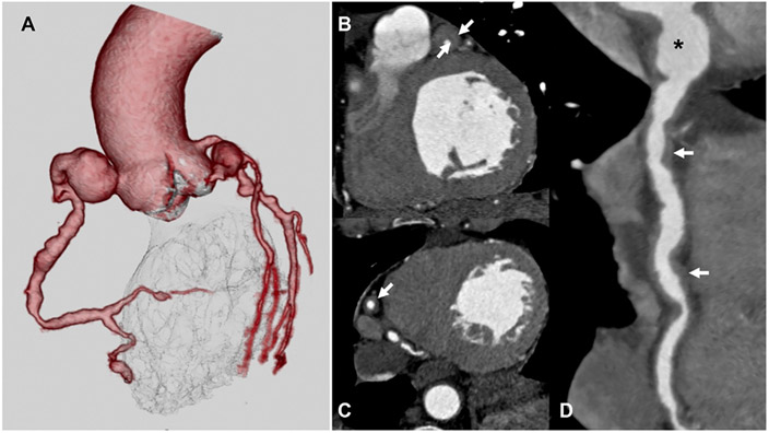 FIGURE 4