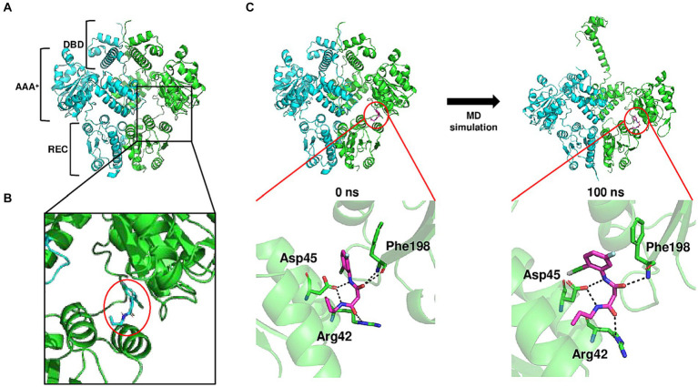 Figure 4