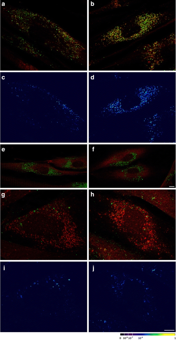 Fig. 3