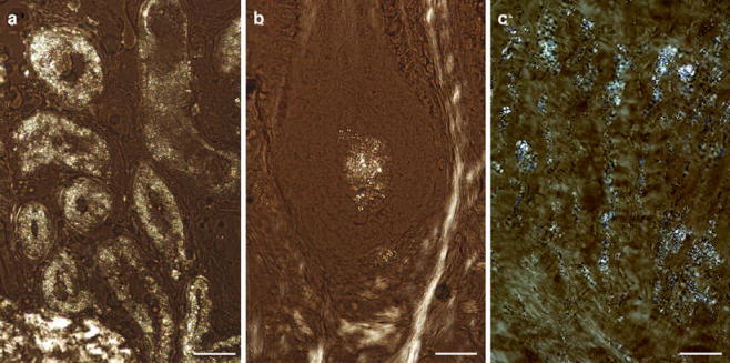 Fig. 7