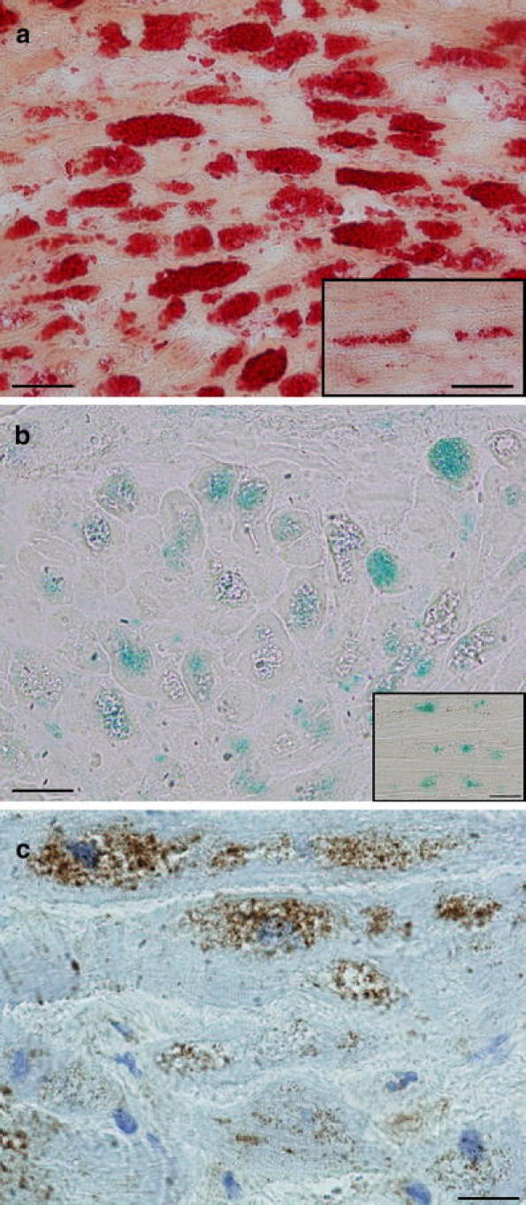 Fig. 10