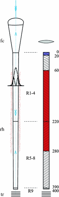 Fig. 2