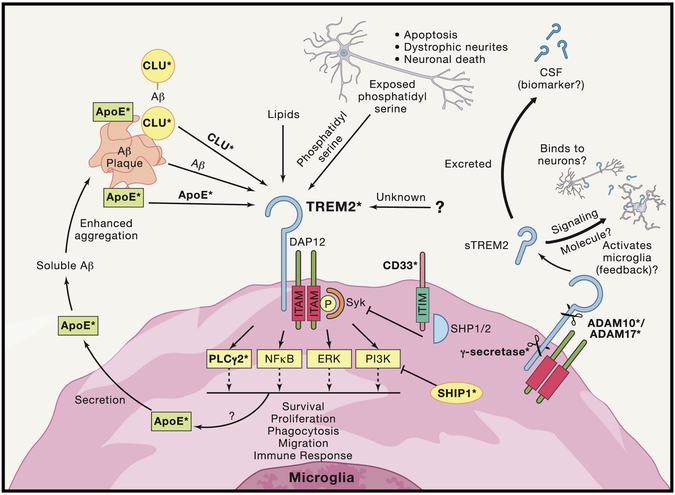 Figure 4: