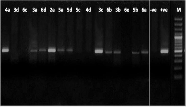 Figure 4.