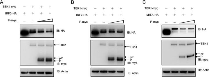 FIG 6