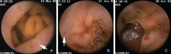 Figure 1)