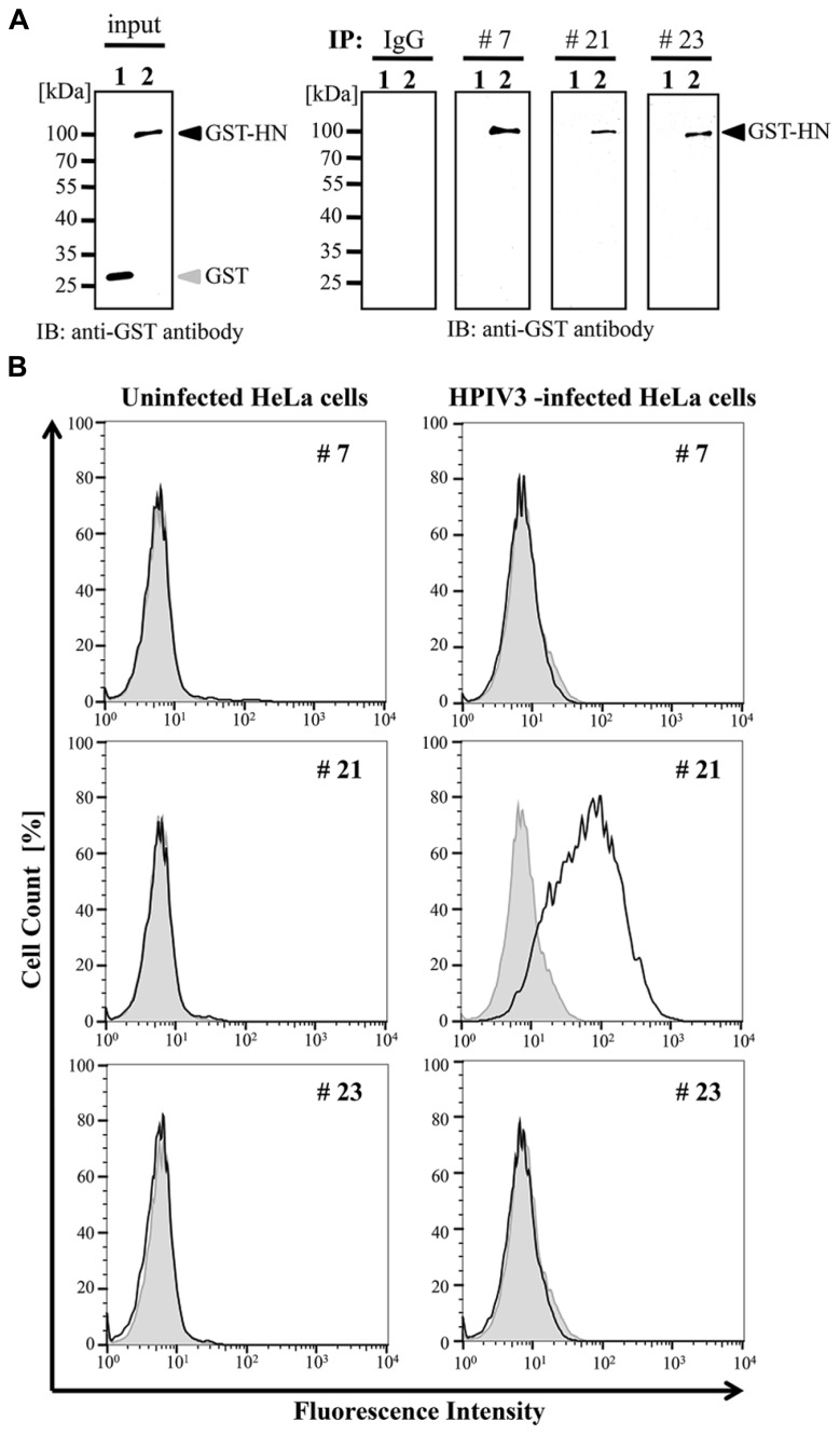 FIGURE 3