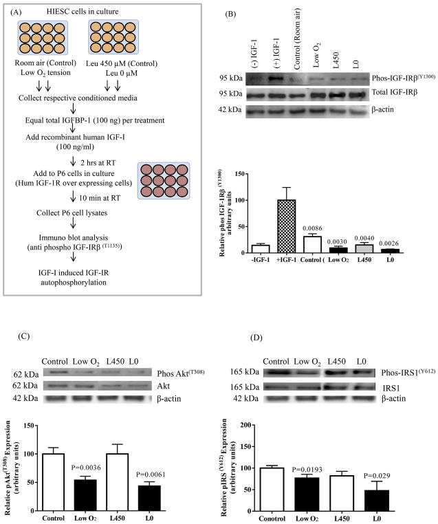 Fig. 11