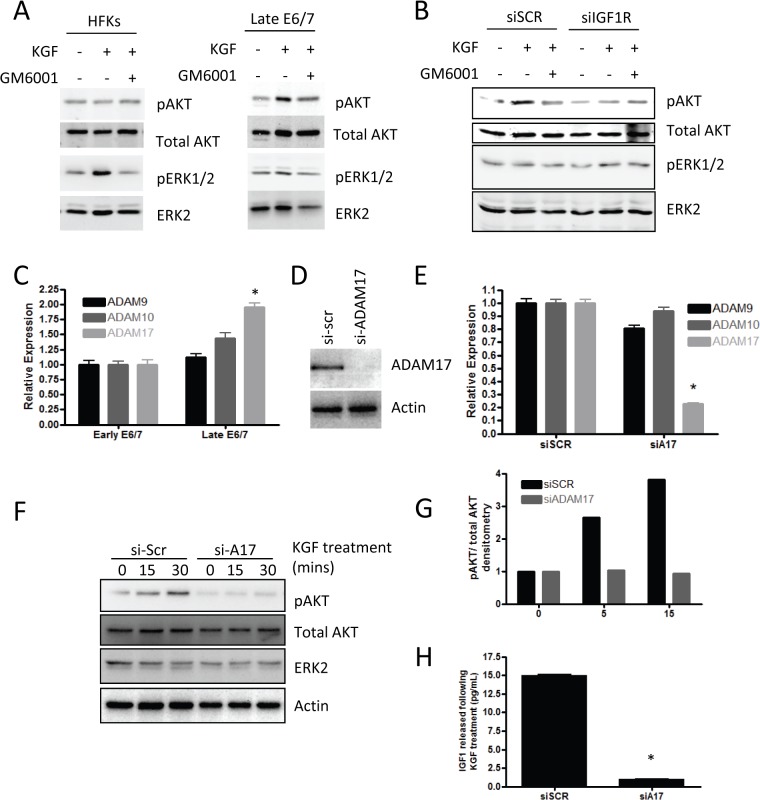 Fig 7