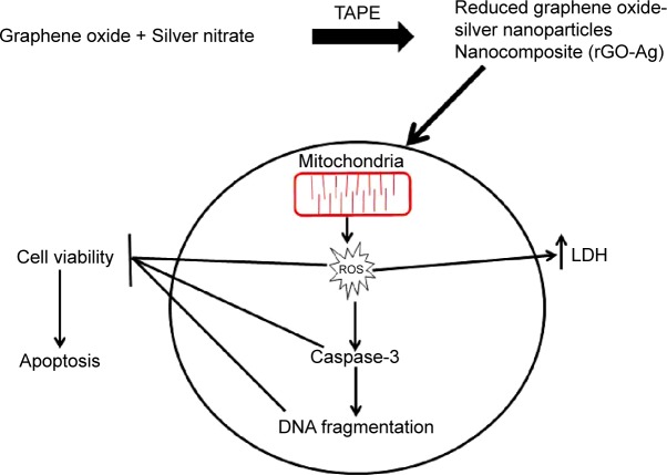 Figure 14