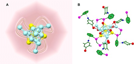 Fig. 6