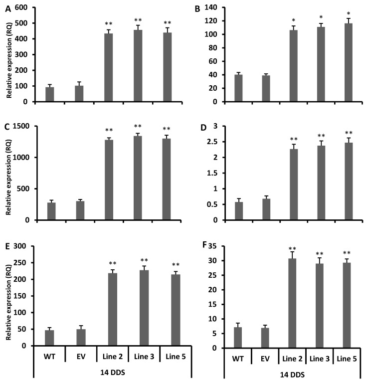 Figure 4