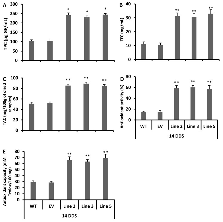 Figure 5