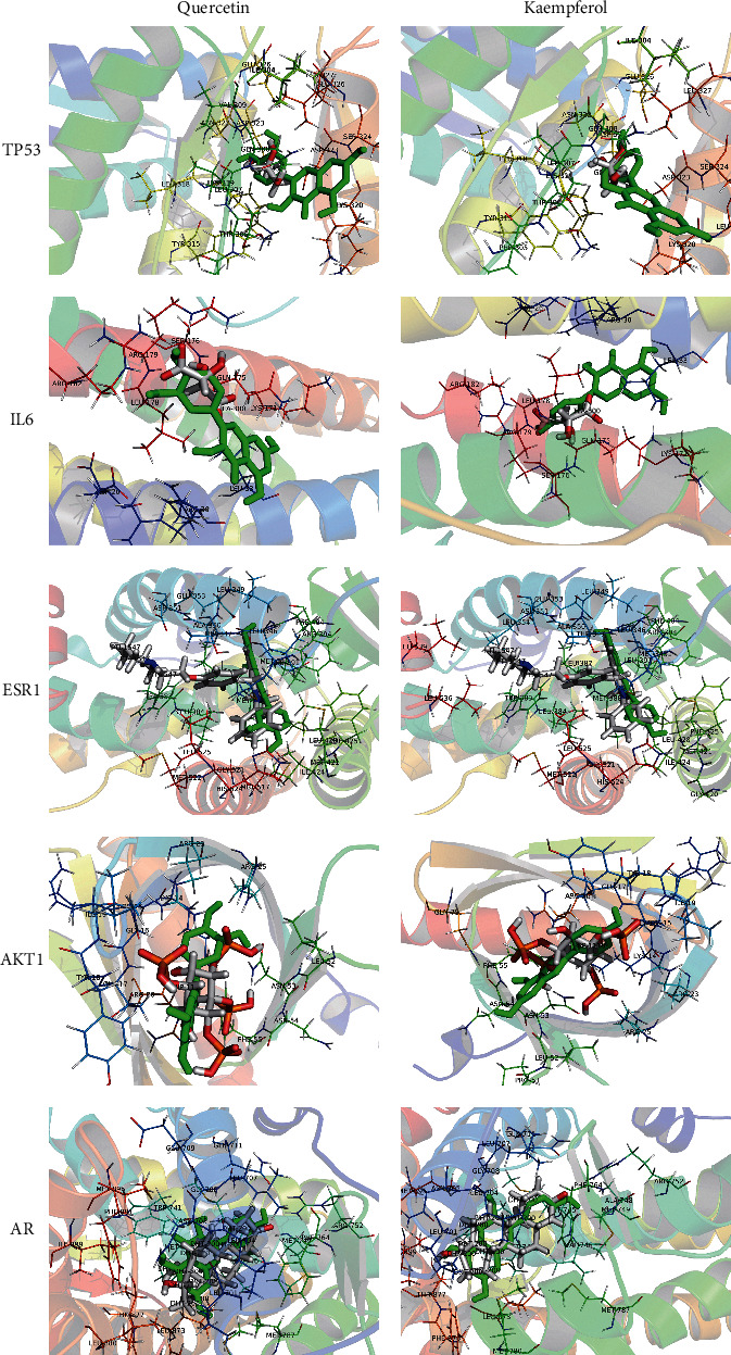 Figure 7