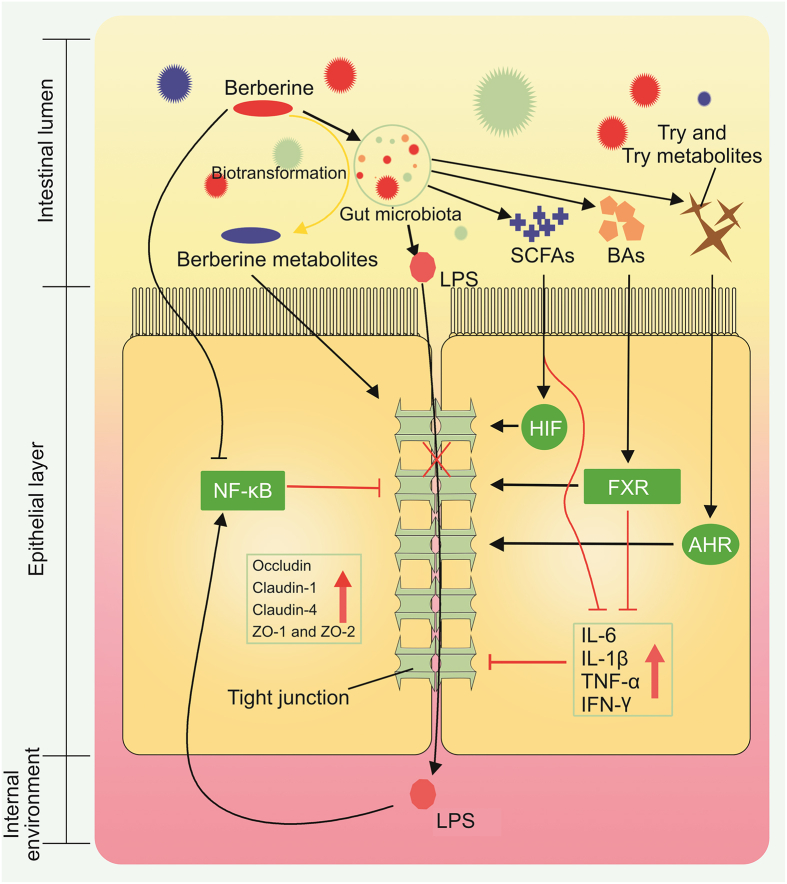 Fig. 4