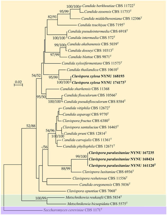 Figure 1