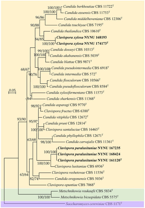 Figure 2