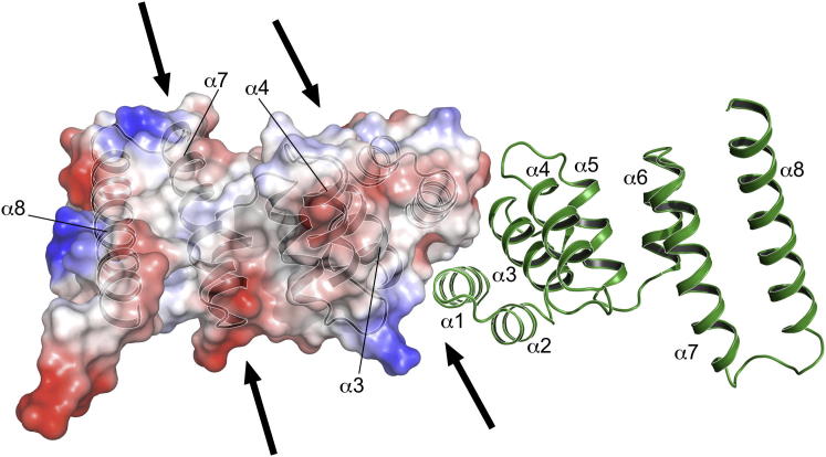 Figure 3