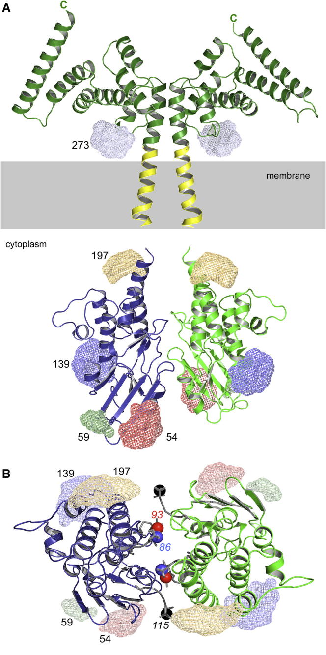 Figure 2