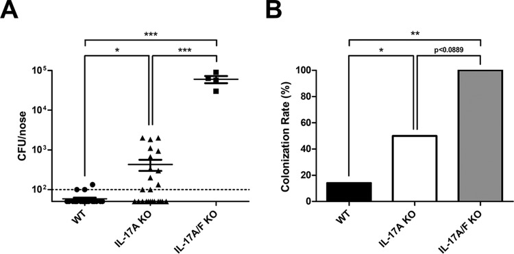 FIG 2