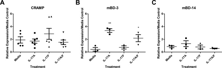 FIG 3