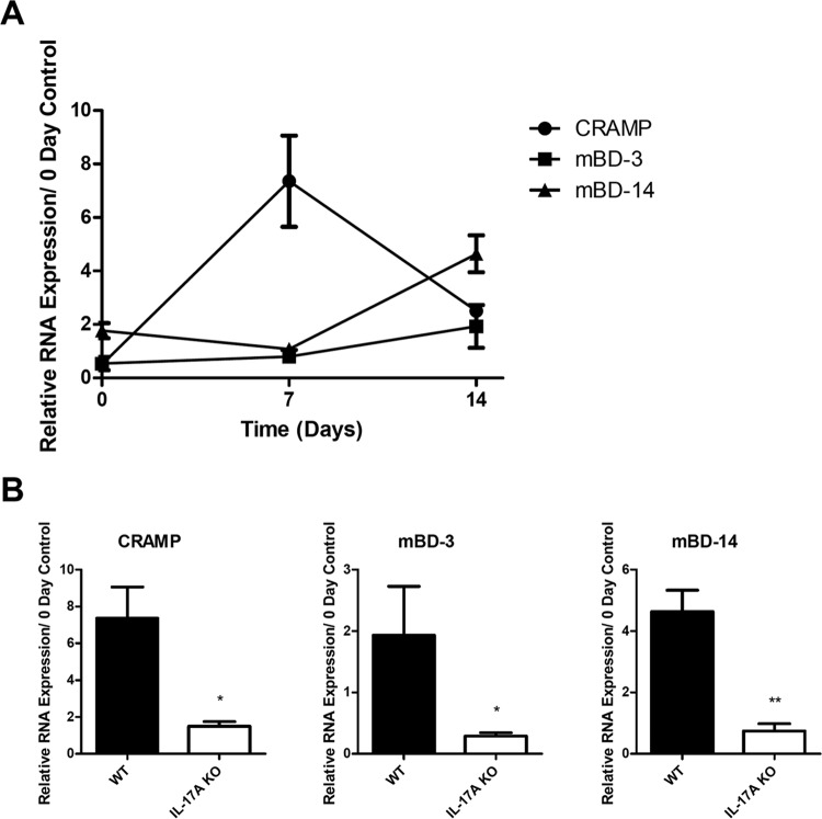 FIG 4