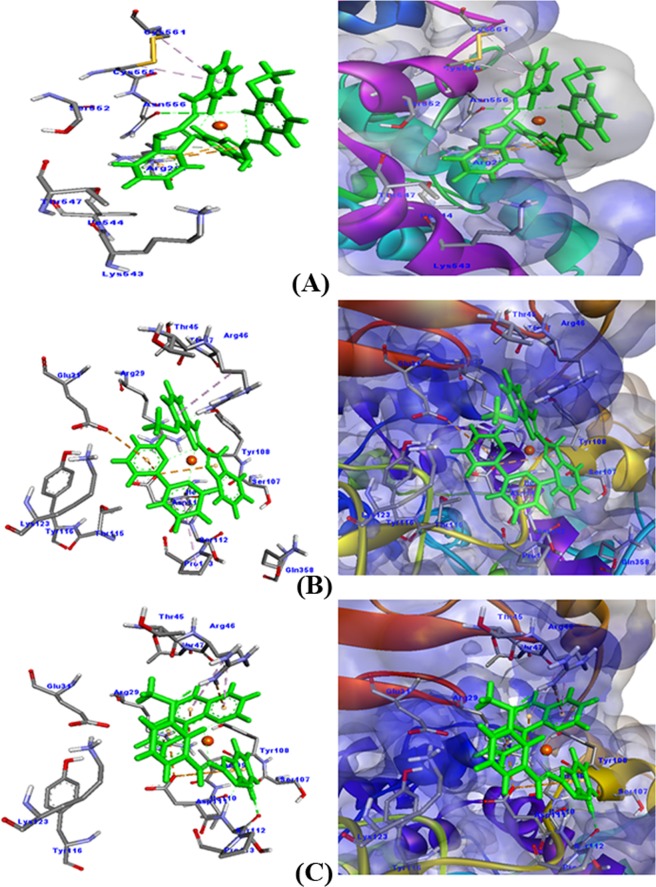 Figure 12