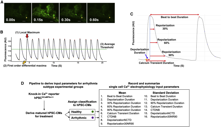 Figure 2