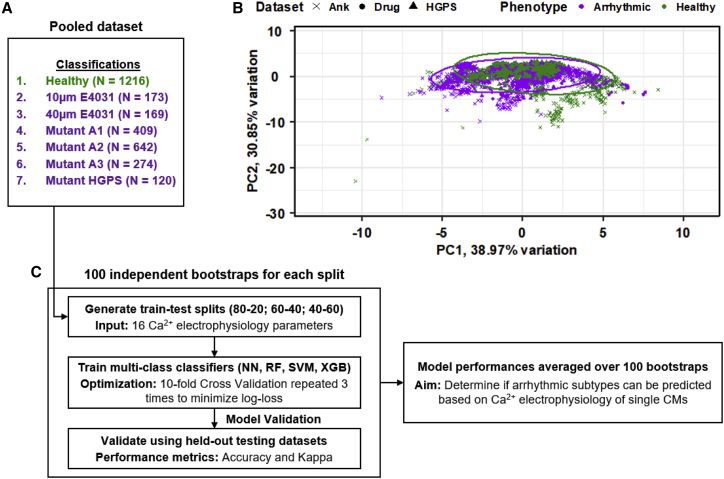 Figure 3