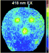 Figure 57