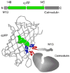 Figure 40
