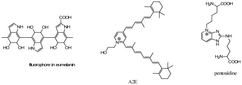 Figure 28