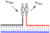 Figure 23
