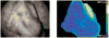 Figure 29