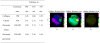 Figure 54