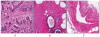Figure 50