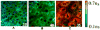 Figure 49