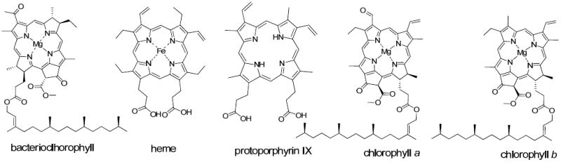 Figure 27