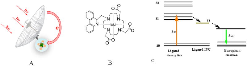 Figure 44