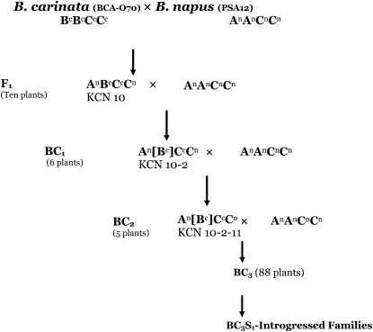 Figure 1.—