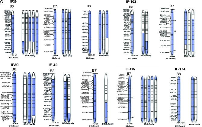 Figure 4.—