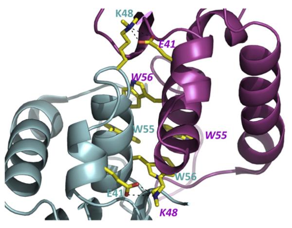 Fig. 2