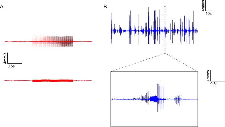 Figure 6—figure supplement 3.