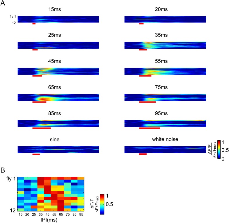 Figure 6—figure supplement 1.