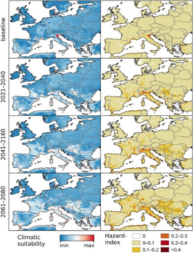 Figure 5.